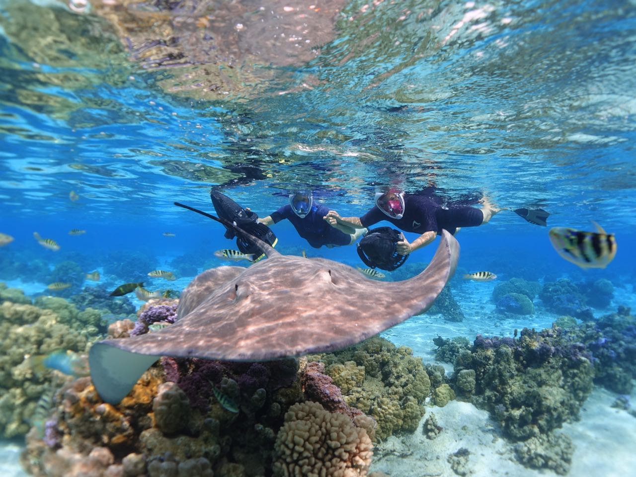 https://tahititourisme.cn/wp-content/uploads/2020/09/Sea-Scooter-Snorkeling-Tour-à-moorea-copie-2.jpg