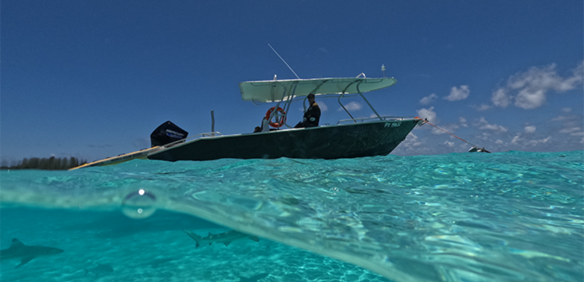 https://tahititourisme.cn/wp-content/uploads/2023/06/MooreaOceanRiders_photocouverture_1140x550px.png