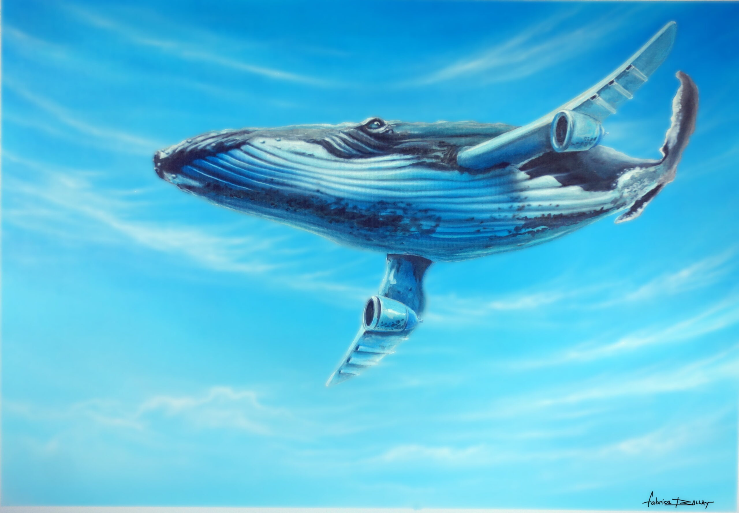 https://tahititourisme.cn/wp-content/uploads/2024/02/baleine_volante-min-scaled.jpg